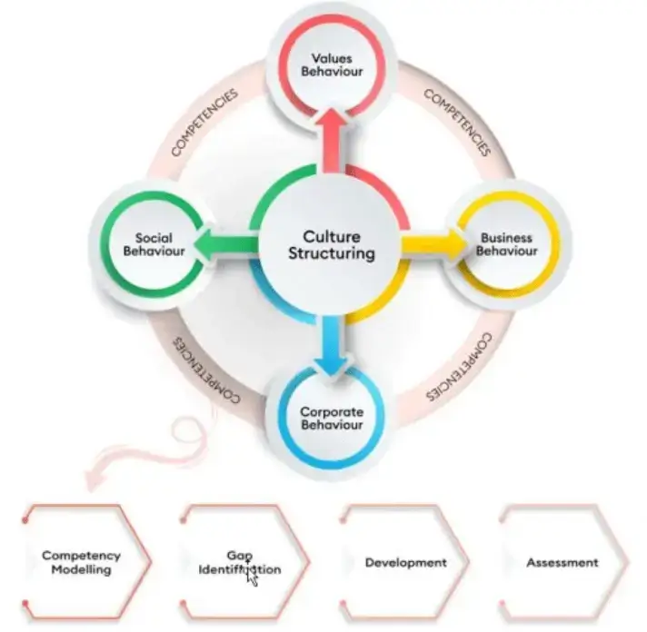 Culture Structuring